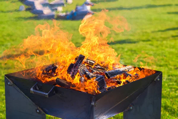 The concept of a picnic. Fire during a picnic on a green lawn fo — Stock Photo, Image