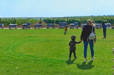 Genç anne eğlenceli kızıyla birlikte batan güneşin yumuşak ışık taze yeşil çim ortasında parkın içinden yürüme. Arkadan Görünüm.
