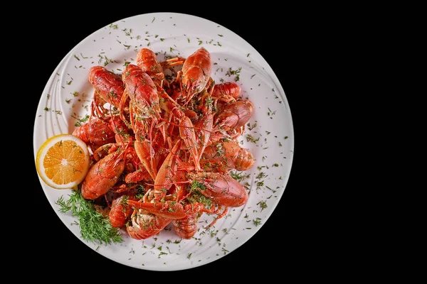Crayfish cozido vermelho à cerveja em um fundo preto, conceito de comida. espaço de cópia . — Fotografia de Stock