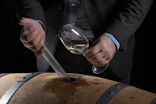 Sommelier meşe fıçısından kırmızı şarap seçer. Çiftlikte ekolojik şarap üretimi. Yaklaş, alçak tuş.
