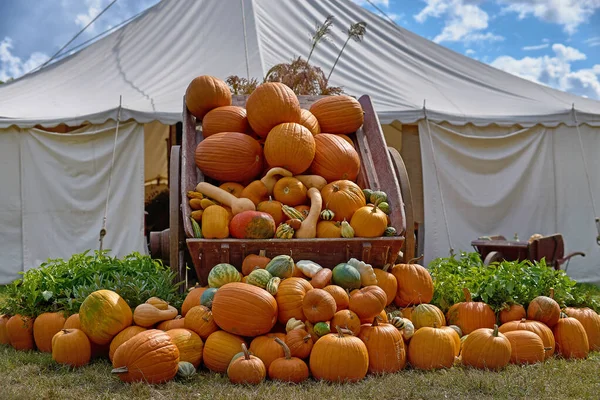 Košík Dýněmi Dřevěném Vozíku Senem Jsou Velké Oranžové Dýně Podzimní — Stock fotografie