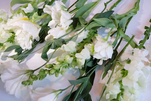 Vita och gröna blommor — Stockfoto
