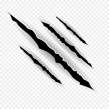 Pençe çizikleri - vektör