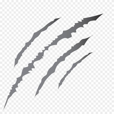 Pençe çizikleri - vektör