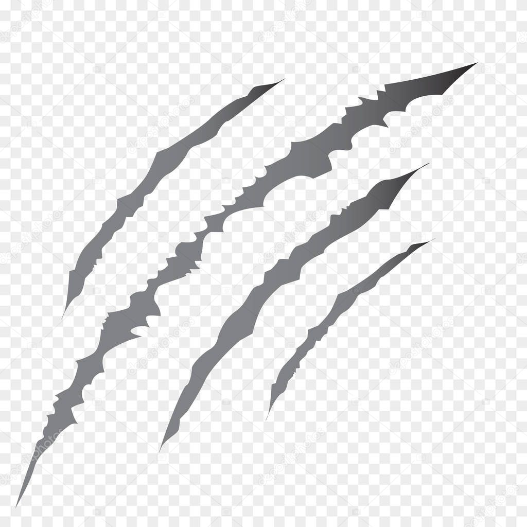 Claws scratches - vector