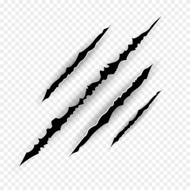 Pençe çizikleri - vektör