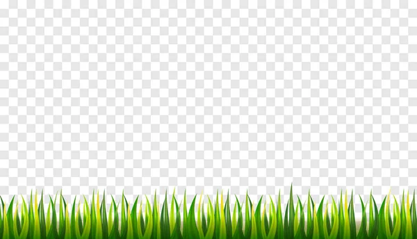Realistiskt grönt gräs. — Stock vektor