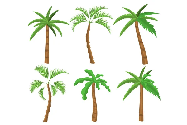 Тропические пальмы. — стоковый вектор