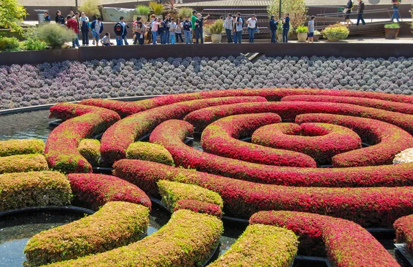 캘리포니아주 로스앤젤레스 2009 Getty Center Robert Irwin 정원의 모양을 헤지스 — 스톡 사진