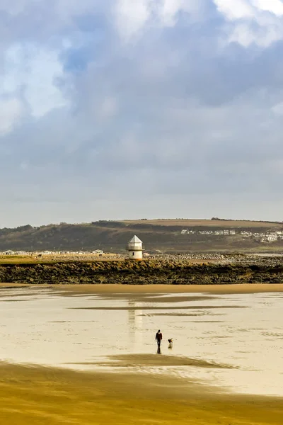 Porthcawl Wales Fevereiro 2020 Caminhante Cães Praia Porthcawl País Gales — Fotografia de Stock