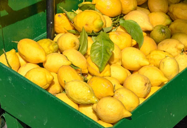 Limões Frescos Venda Num Mercado Agricultores — Fotografia de Stock