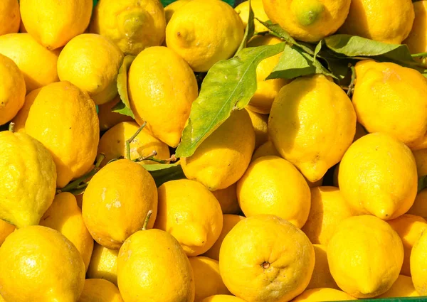 Limões Frescos Venda Num Mercado Agricultores — Fotografia de Stock