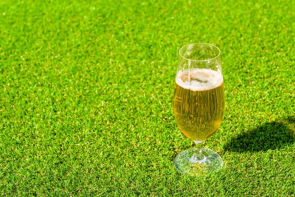 Copo Cerveja Dourada Lager Gramado Grama Verde Curta Espaço Para — Fotografia de Stock