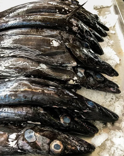 Black scabbard fish on sale in the market in Madeira