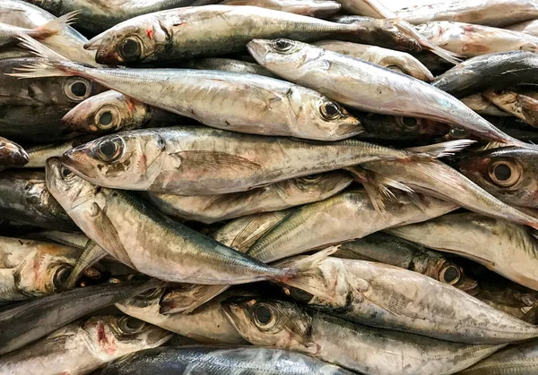 Färsk Fisk Till Salu Stadens Marknad — Stockfoto