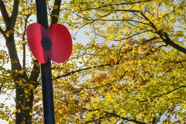 Mohnblume Aus Plastik Montiert Auf Einem Laternenpfahl Als Teil Der — Stockfoto