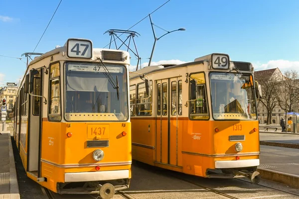 Budapest Hongrie Mars 2019 Deux Vieux Tramways Électriques Côte Côte — Photo