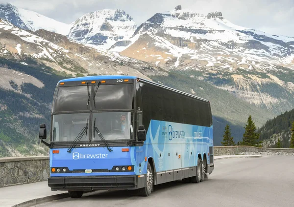 Columbia Icefield Alberta Canadá Junio 2018 Autobús Lanzadera Área Columbia — Foto de Stock