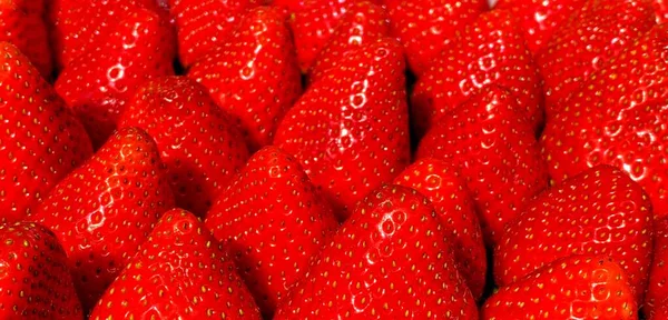 Närbild Mogen Röd Jordgubbe Låda Frukt Bondens Marknad — Stockfoto