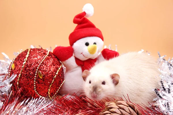 Szczur w pobliżu zabawki bałwan i czerwony zabawki świąteczne. Szczęśliwego Nowego Roku 2020. — Zdjęcie stockowe