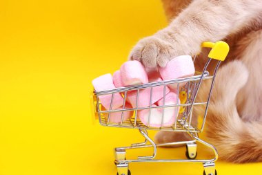 Kedi pençesi yakın çekim. Kızıl bir kedi, kalp şeklinde şekerlemelerle dolu bir süpermarketten gelen oyuncak bir arabaya dokunuyor. Sarı arka plan. Aşk ve Sevgililer Günü kavramı. Evcil hayvanlar için yararlı ve zararlı yiyecekler.