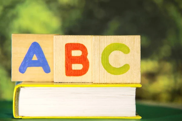 Lettere Dell Alfabeto Inglese Abc Sul Libro Impara Lingue Straniere — Foto Stock