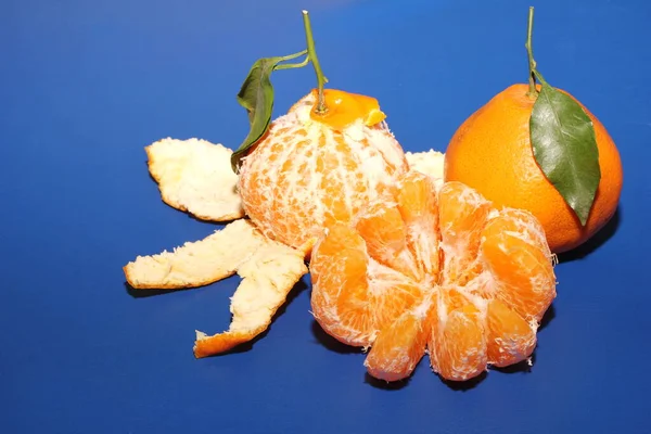 Frische Mineola Mandarinen Mit Blättern Auf Blauem Hintergrund Das Konzept — Stockfoto