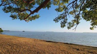 Everglades Ulusal Parkı 'ndaki Flamingo Marina' dan Florida Körfezi.