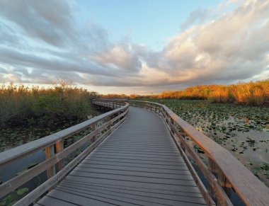 Everglades Ulusal Parkı 'nda Anhinga Yolu ve Sahil Yolu.