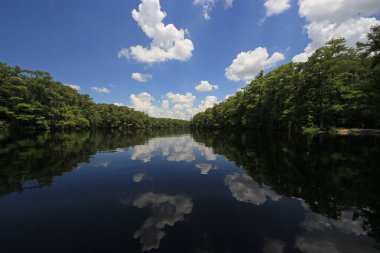 Parlak beyaz bulutlar ve selvi ağaçları Florida Fisheating Creek 'in sakin sularını yansıtıyor..