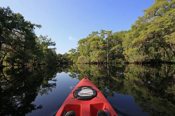 Florida Fisheating Creek 'te yaz kayağı.