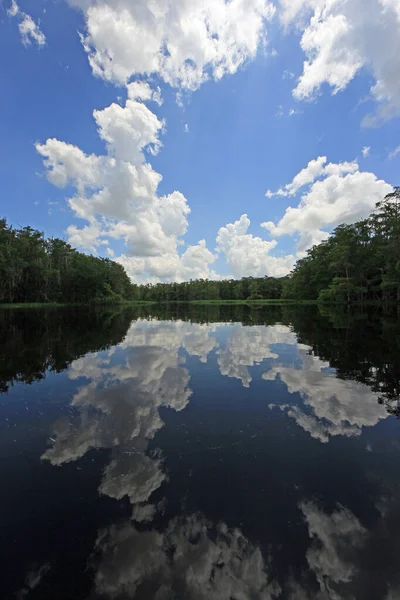 Fényes fehér felhők és ciprusfák tükröződnek a floridai Fisheating Creek nyugodt vizén. — Stock Fotó