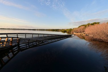 Everglades Ulusal Parkı 'nda Batı Gölü kıyısındaki tahta kaldırım, Florida 2017 yılında Irma Kasırgası tarafından hasar gördü..