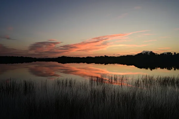 Восход солнца над девятимильным прудом в Национальном парке Эверглейдс, Флорида . — стоковое фото