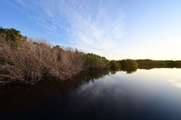 Soluppgång över West Lake i Everglades National Park, Florida. — Stockfoto