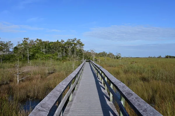 Florida Everglades Ulusal Parkı 'nda Pa Hay Okee Boardwalk.