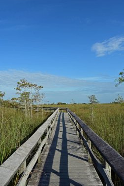 Florida Everglades Ulusal Parkı 'nda Pa Hay Okee Boardwalk.