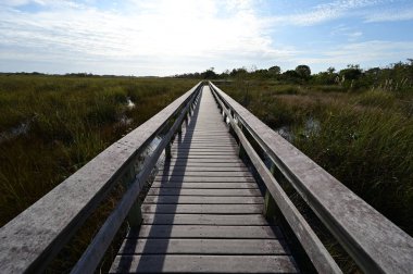Florida Everglades Ulusal Parkı 'nda Pa Hay Okee Boardwalk.