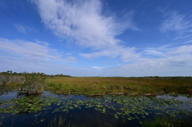 Everglades Ulusal Parkı, Florida 'daki Anhinga Patikası üzerinde bulutlar.