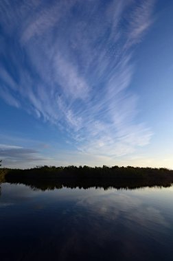 Everglades Ulusal Parkı, Florida 'daki Nine Mile Pond' da gün doğumu.