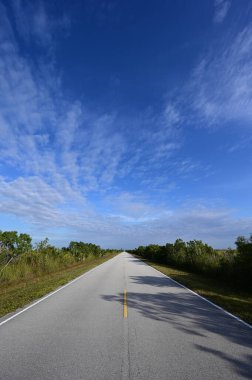 Everglades Ulusal Parkı, Florida 'daki ana yol güzel kış bulutları altında uzaklaşıyor..