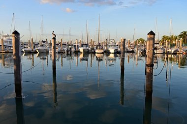 Yatlar Key Biscayne, Florida'daki Crandon Marina'ya demirledi.