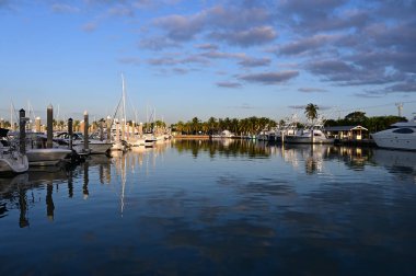 Yatlar Key Biscayne, Florida'daki Crandon Marina'ya demirledi.