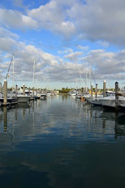 Yatlar Key Biscayne, Florida'daki Crandon Marina'ya demirledi.