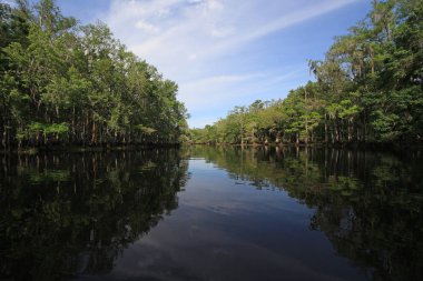 Balıkçılık Deresi, Florida Aydınlık bir bahar sabahı.