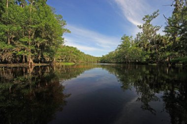 Balıkçılık Deresi, Florida Aydınlık bir bahar sabahı.