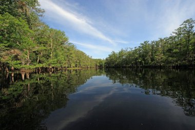 Balıkçılık Deresi, Florida Aydınlık bir bahar sabahı.