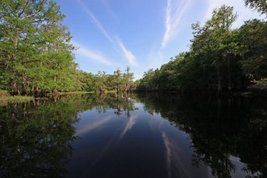 Balıkçılık Deresi, Florida Aydınlık bir bahar sabahı.