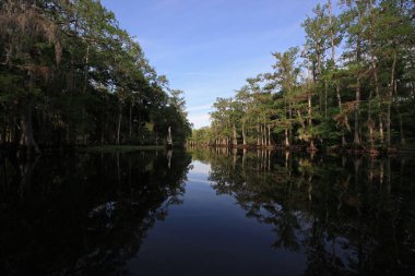 Balıkçılık Deresi, Florida Aydınlık bir bahar sabahı.