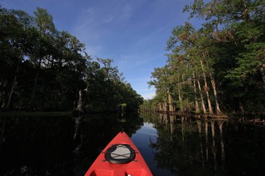 Kırmızı kayık Fisheating Creek, Florida üzerinde.